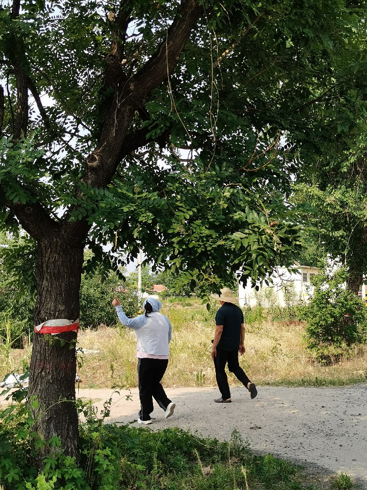 枣庄市市中区西王庄村项目正在进行现场调研