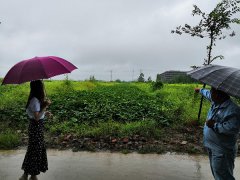 某地土地征收项目社会稳定风险评估进行中